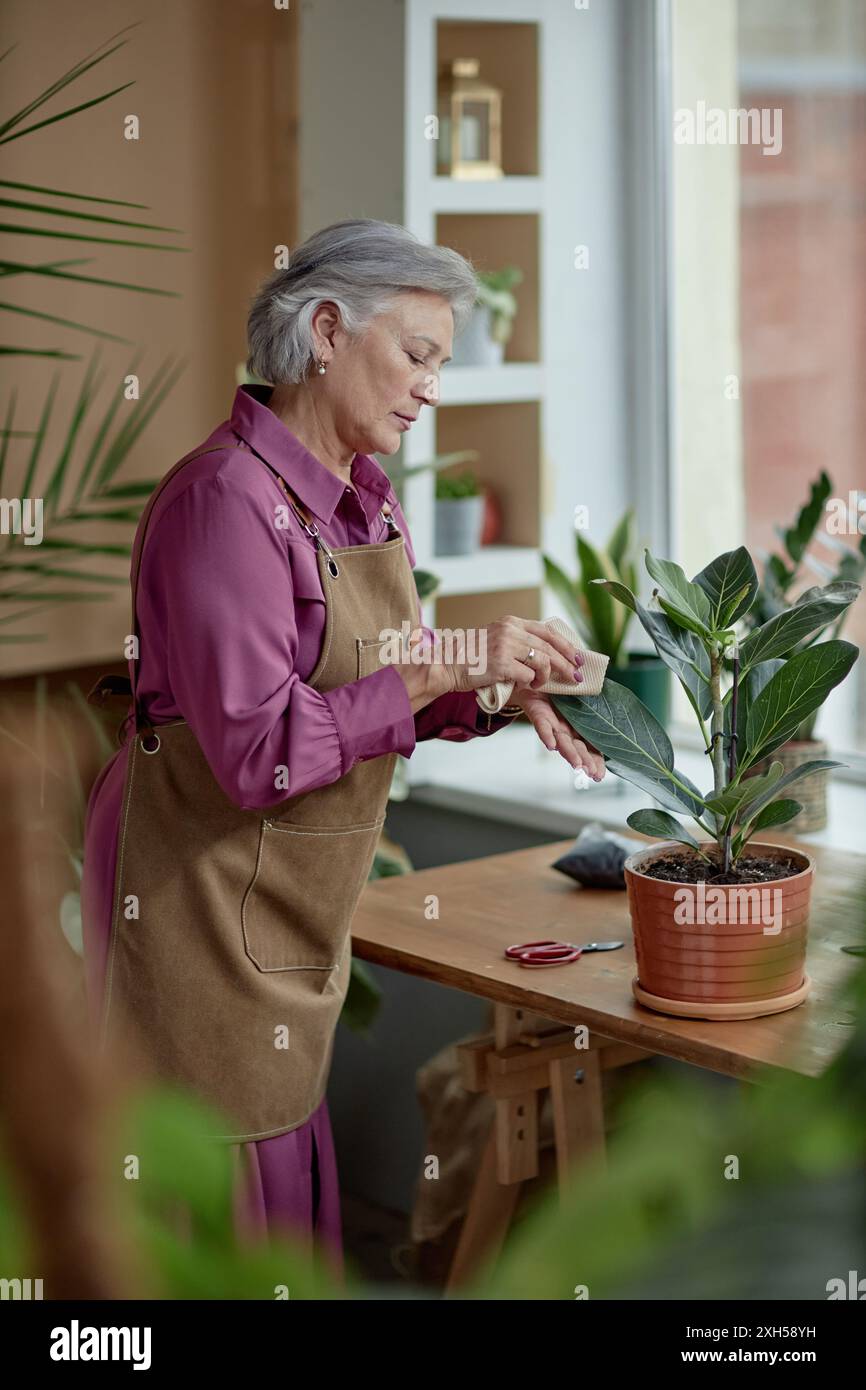 Vue latérale verticale portrait de femme aux cheveux gris prenant soin des plantes à la maison Banque D'Images