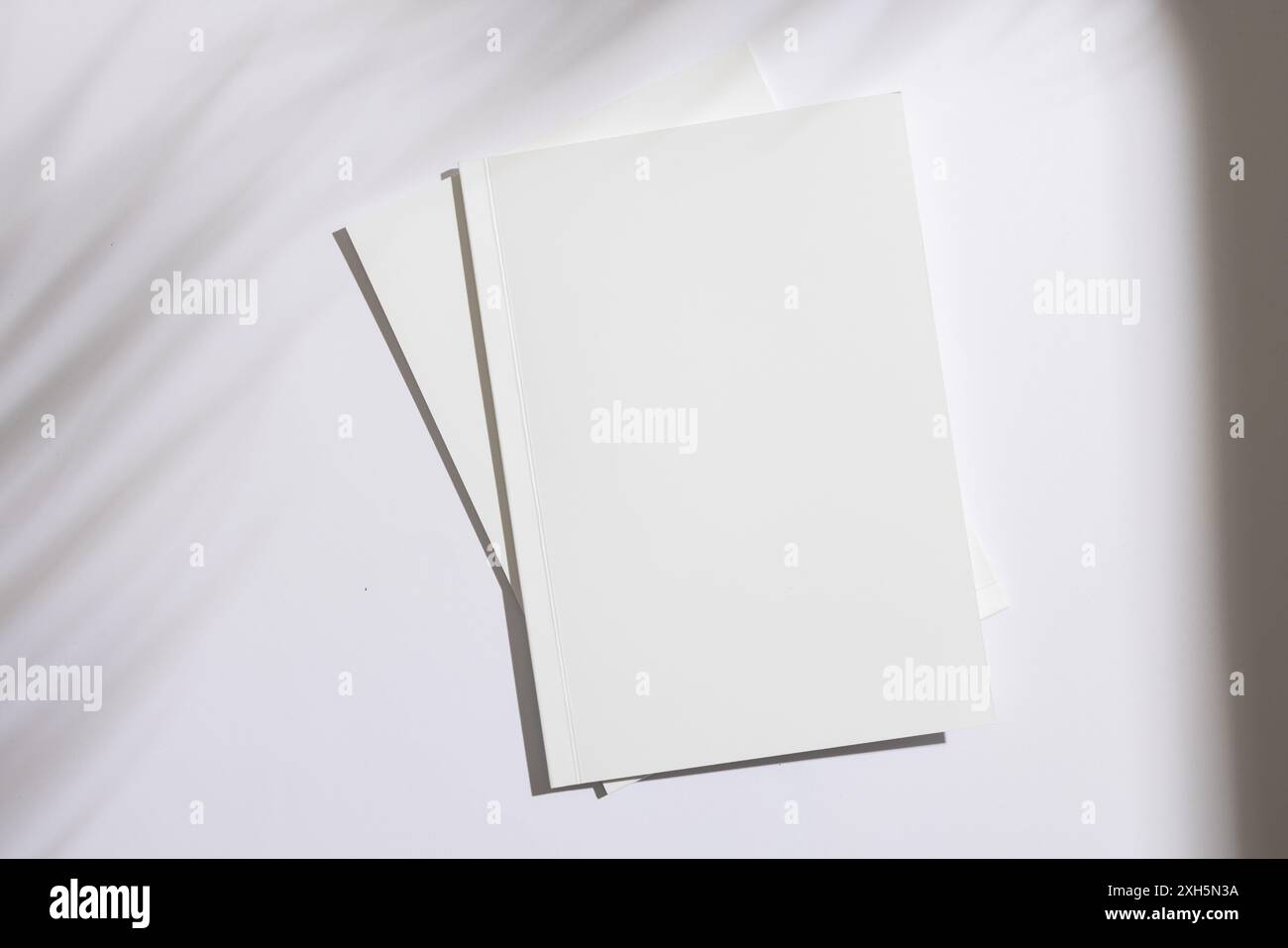 Livre ouvert vierge sur une surface blanche, avec espace de copie. Idéal pour les concepteurs pour mettre en valeur du texte ou des graphiques, la simplicité du livre offre un modèle clair. Banque D'Images