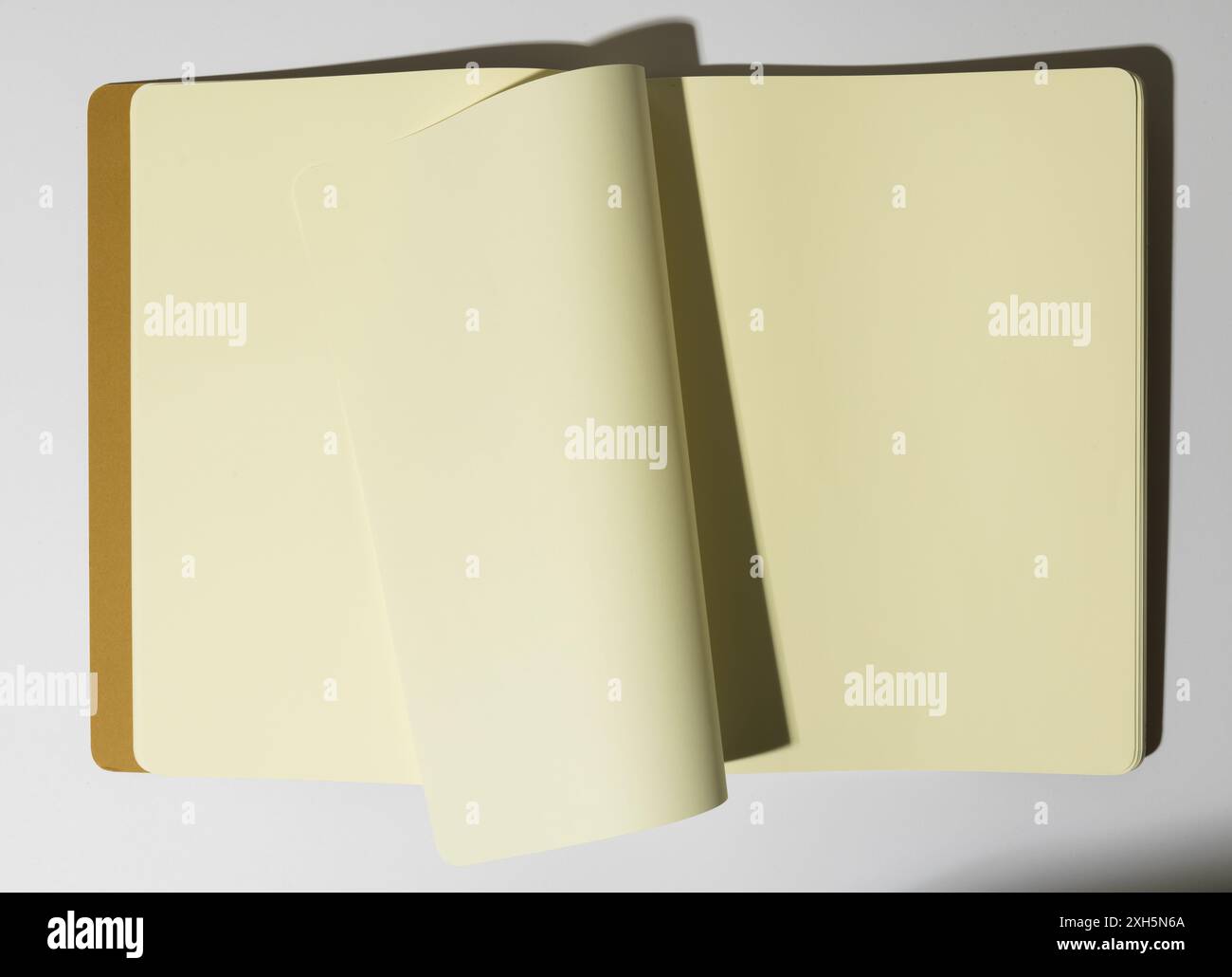 Un bloc-notes vierge ouvert repose sur une surface blanche avec un espace de copie. Idéal pour les étudiants ou les professionnels, le carnet offre une ardoise propre pour les notes ou ID Banque D'Images