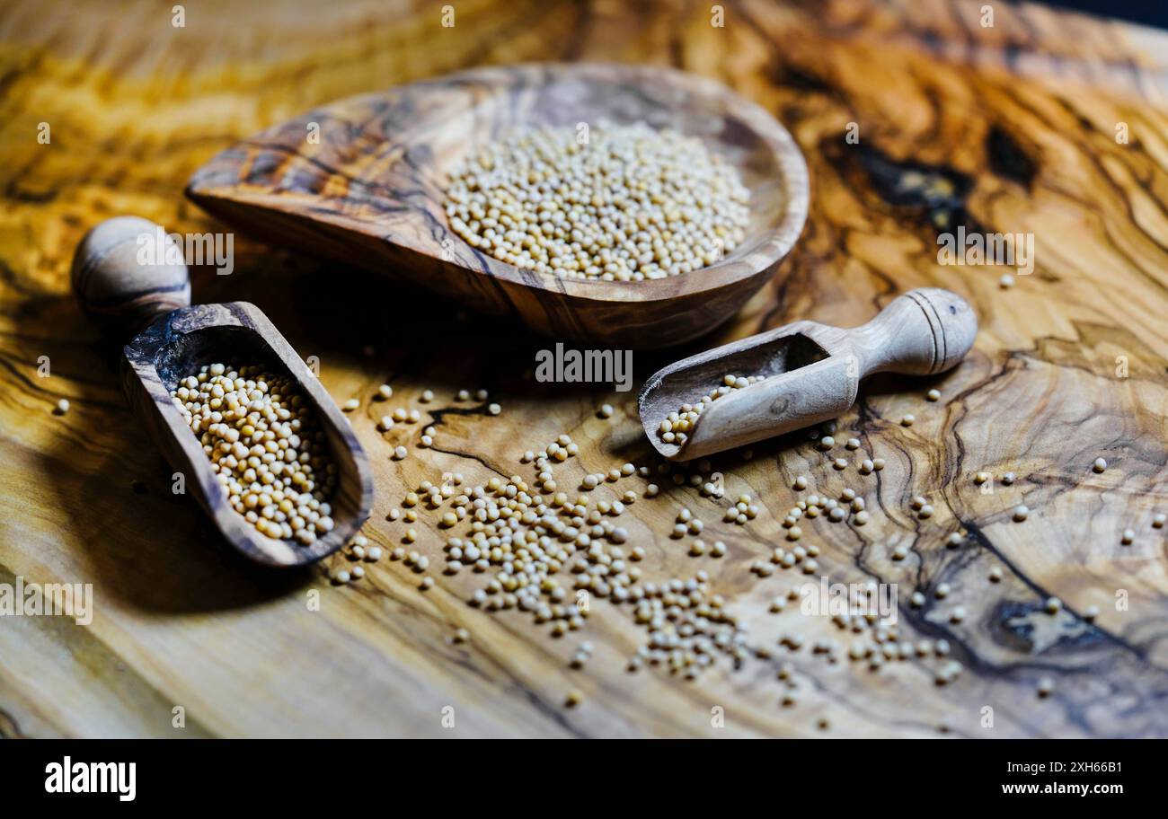 Moutarde blanche (Sinapis alba, Brassica alba), graines de moutarde sur un bol en bois et des cuillères Banque D'Images