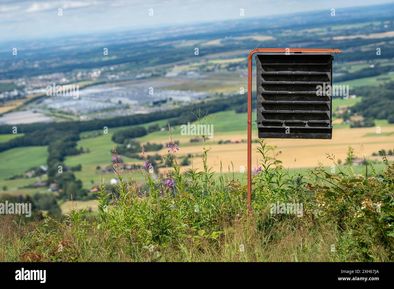 Piège à phéromones pour le coléoptère européen de l'écorce de l'épinette à la lisière de la forêt à beskids de silésie morave Banque D'Images