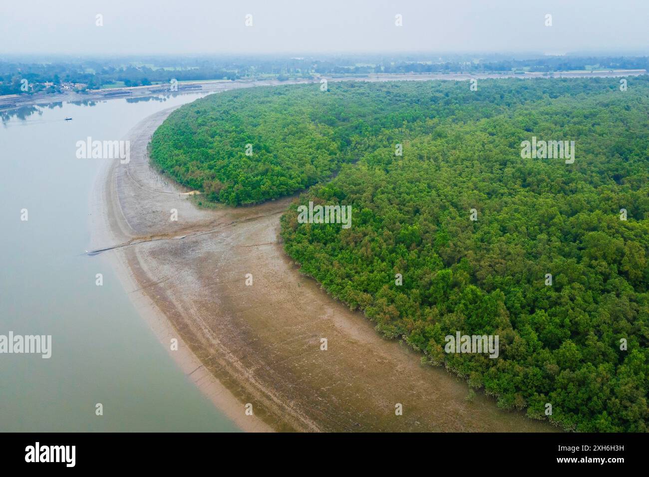 Vue aérienne de la forêt de mangroves Sundarbans avec des canaux d'eau et des rivières. Réserve naturelle indienne. Habitat rural vierge dans la campagne de l'Inde Banque D'Images