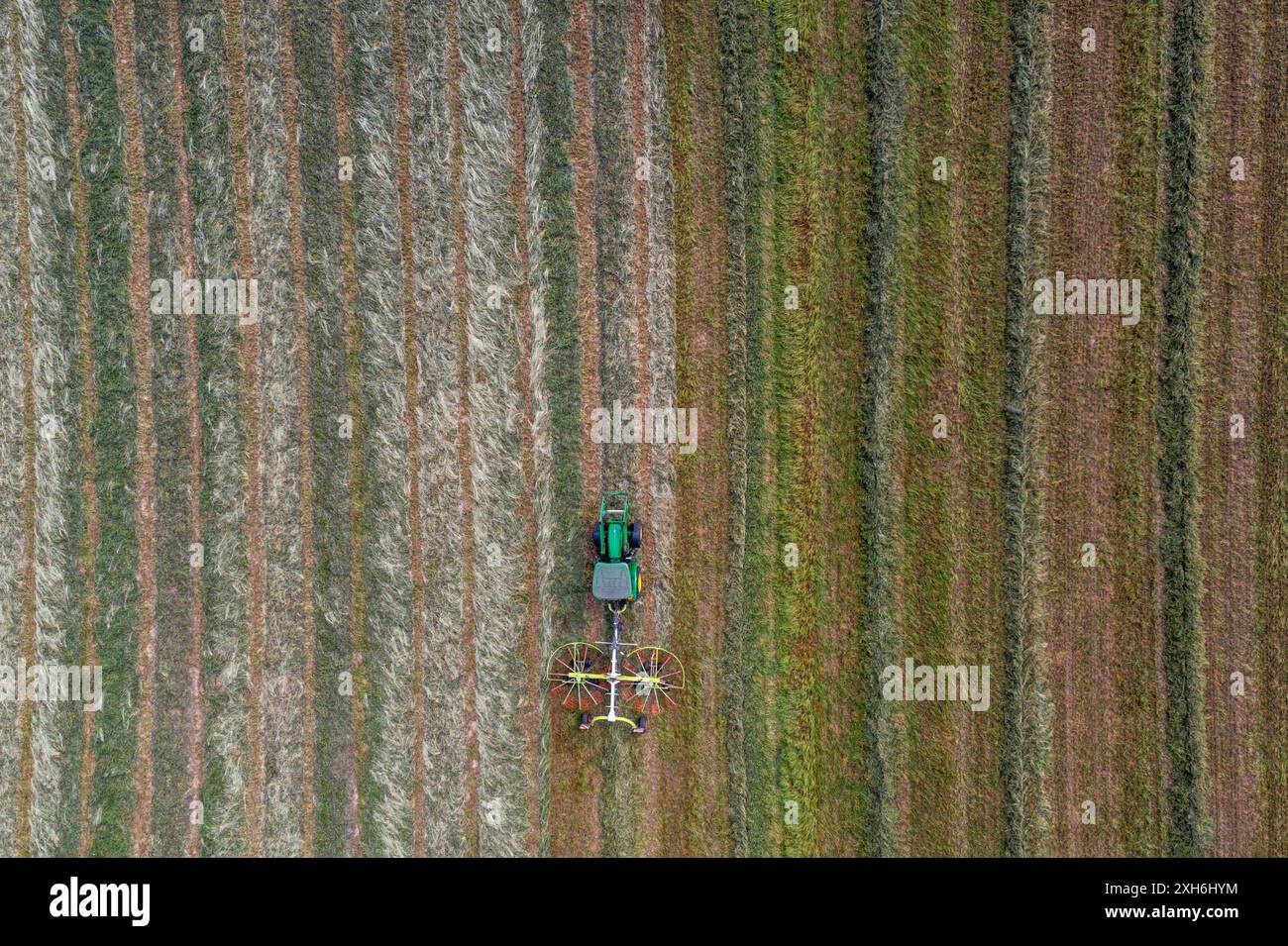 Papendorf, Allemagne. 09 juillet 2024. Un tracteur tire une faneuse de foin à travers un champ de la coopérative agricole Papendorf pendant la récolte du fourrage vert. (Photo aérienne avec un drone) crédit : Jens Büttner/dpa/Alamy Live News Banque D'Images