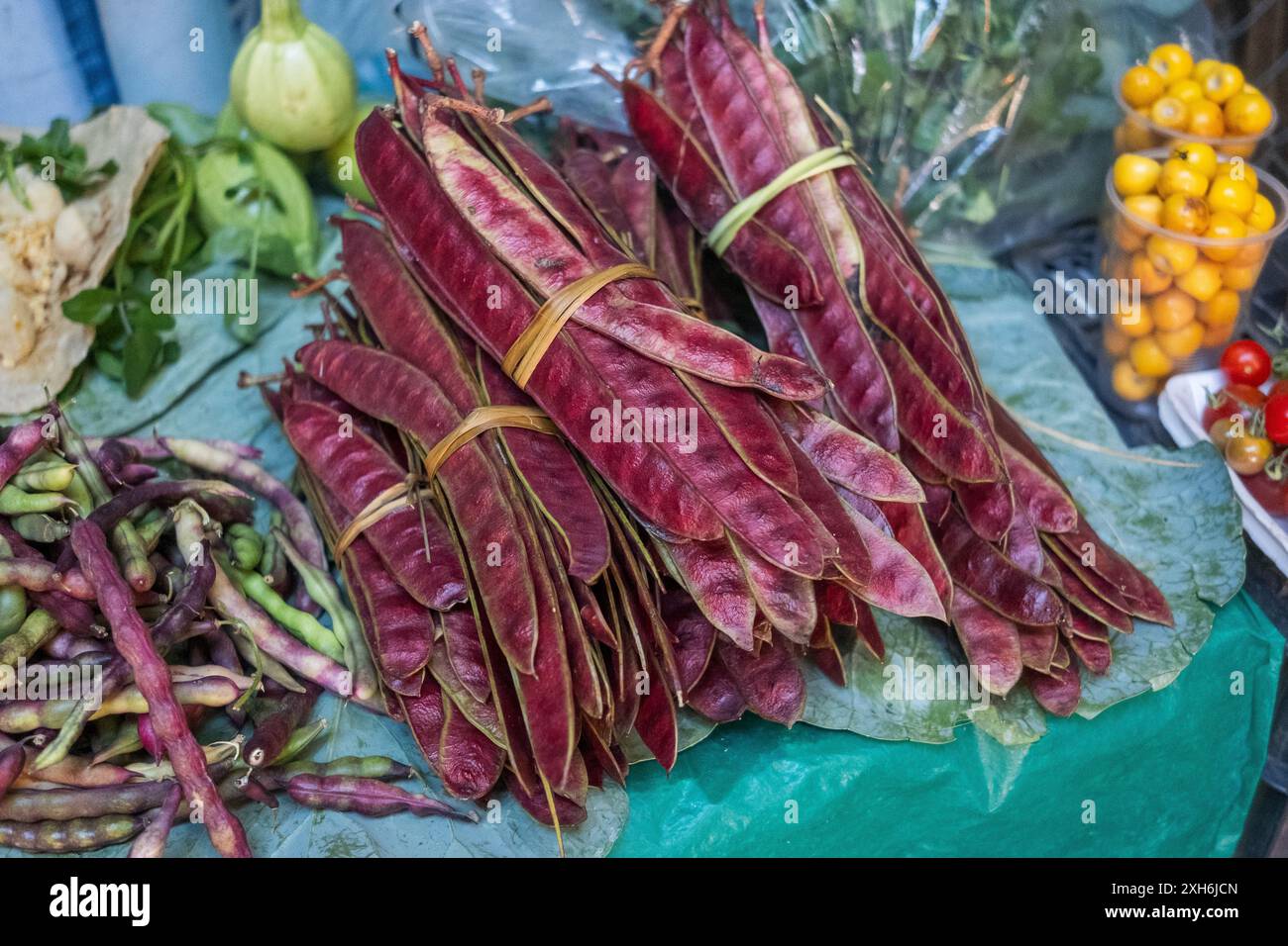 Un tas de haricots d'Oaxaca, ou haricots mauves, en vente au Mercado de Abastos. Banque D'Images