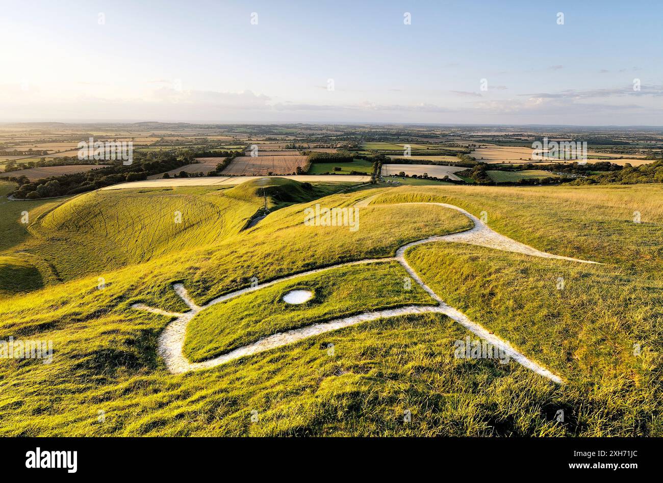 Uffington White Horse. L'Âge du Bronze préhistorique chalk hill figure dans l'Oxfordshire, Angleterre. Close up sur la tête, les yeux, les oreilles et le cou Banque D'Images