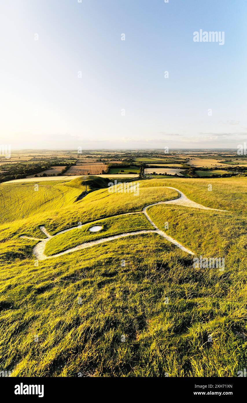 Uffington White Horse. L'Âge du Bronze préhistorique chalk hill figure dans l'Oxfordshire, Angleterre. Close up sur la tête, les yeux, les oreilles et le cou Banque D'Images