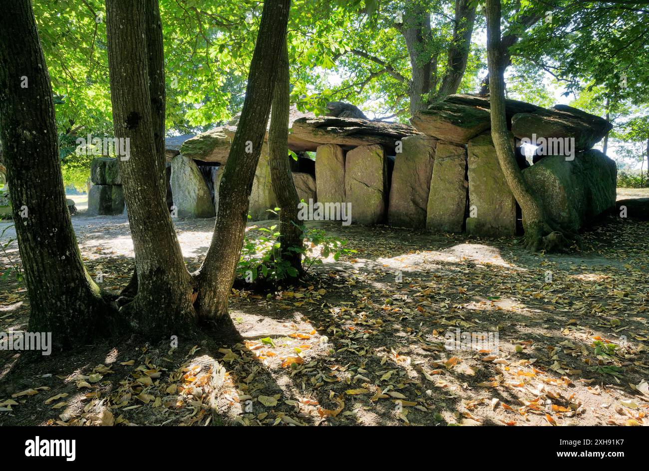 La Roche aux Fées. Dolmen préhistorique massive près de ville de Janze. L'un des plus beaux monuments mégalithiques de Bretagne Banque D'Images