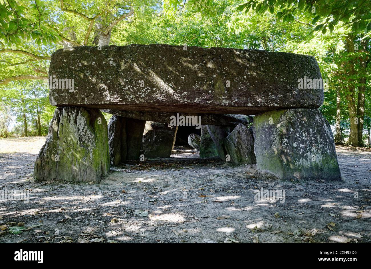 La Roche aux Fées. Dolmen préhistorique massive près de ville de Janze. L'un des plus beaux monuments mégalithiques de Bretagne Banque D'Images