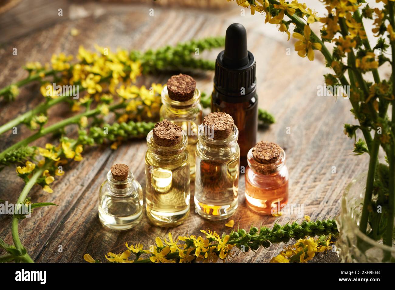 Bouteilles d'huile essentielle avec de l'épine fraîche ou des fleurs d'Agrimonia eupatoria Banque D'Images