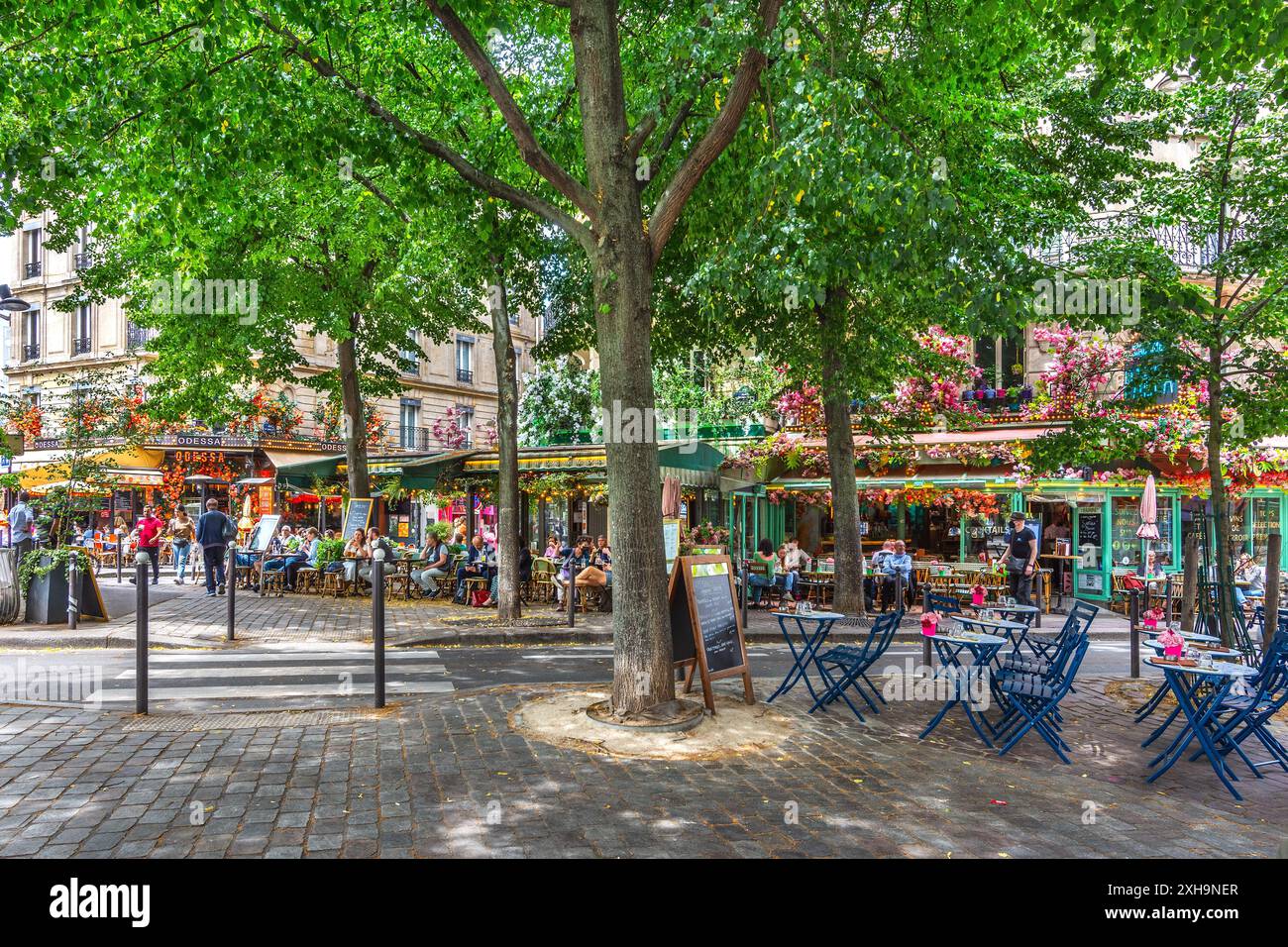 Coin couvert d'arbres de la rue du Montparnasse regardant vers le Café Odessa et le Café de la place - Paris 75014, France. Banque D'Images
