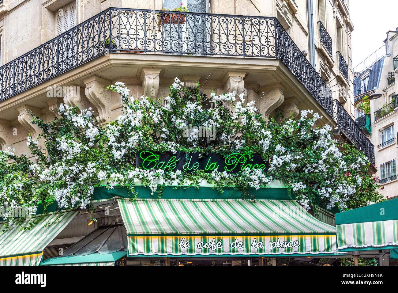 Coin couvert d'arbres de la rue du Montparnasse regardant vers le Café Odessa et le Café de la place - Paris 75014, France. Banque D'Images