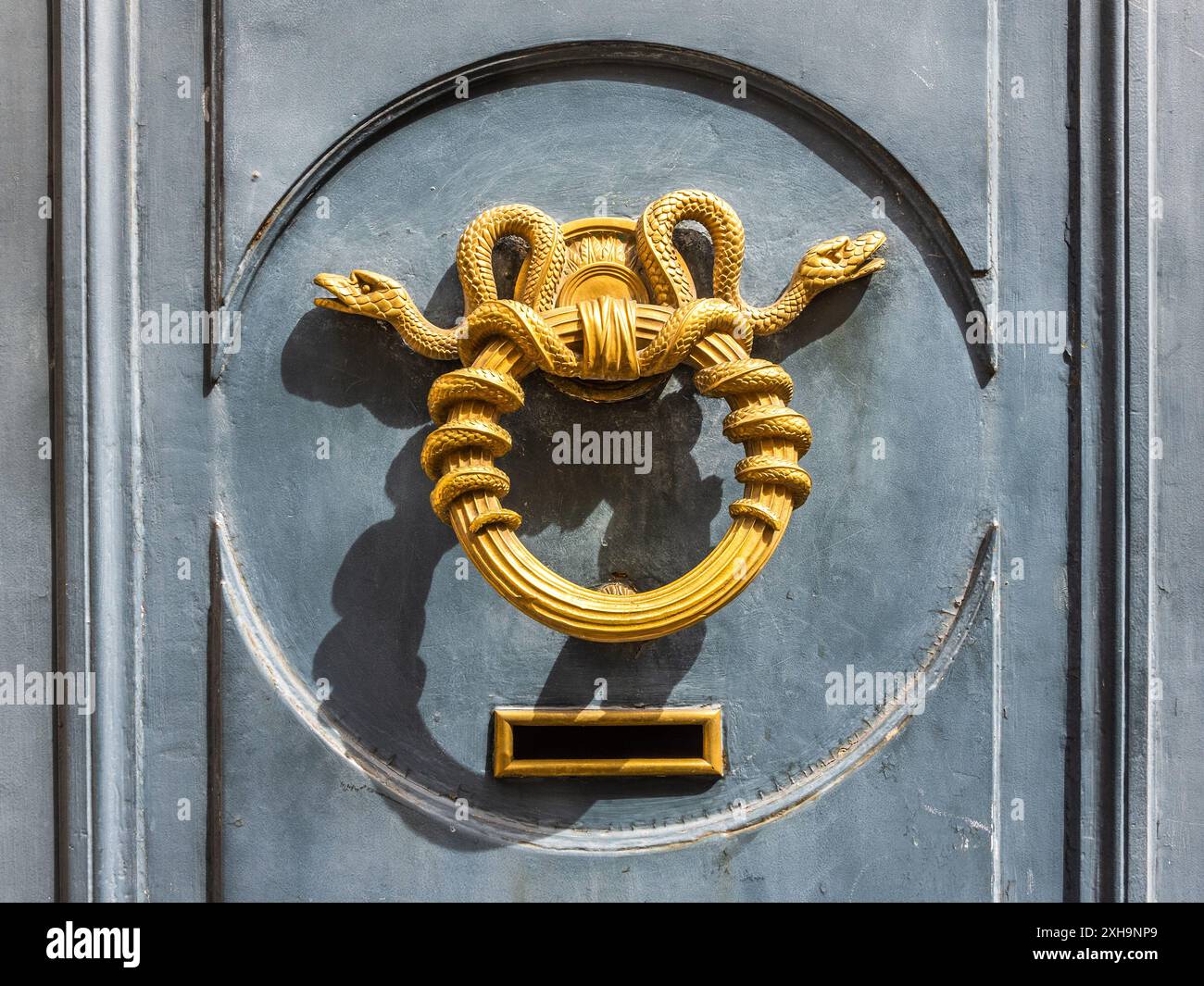 Frappeur de porte orné en laiton de deux serpents entrelacés, Paris 75006, France. Banque D'Images