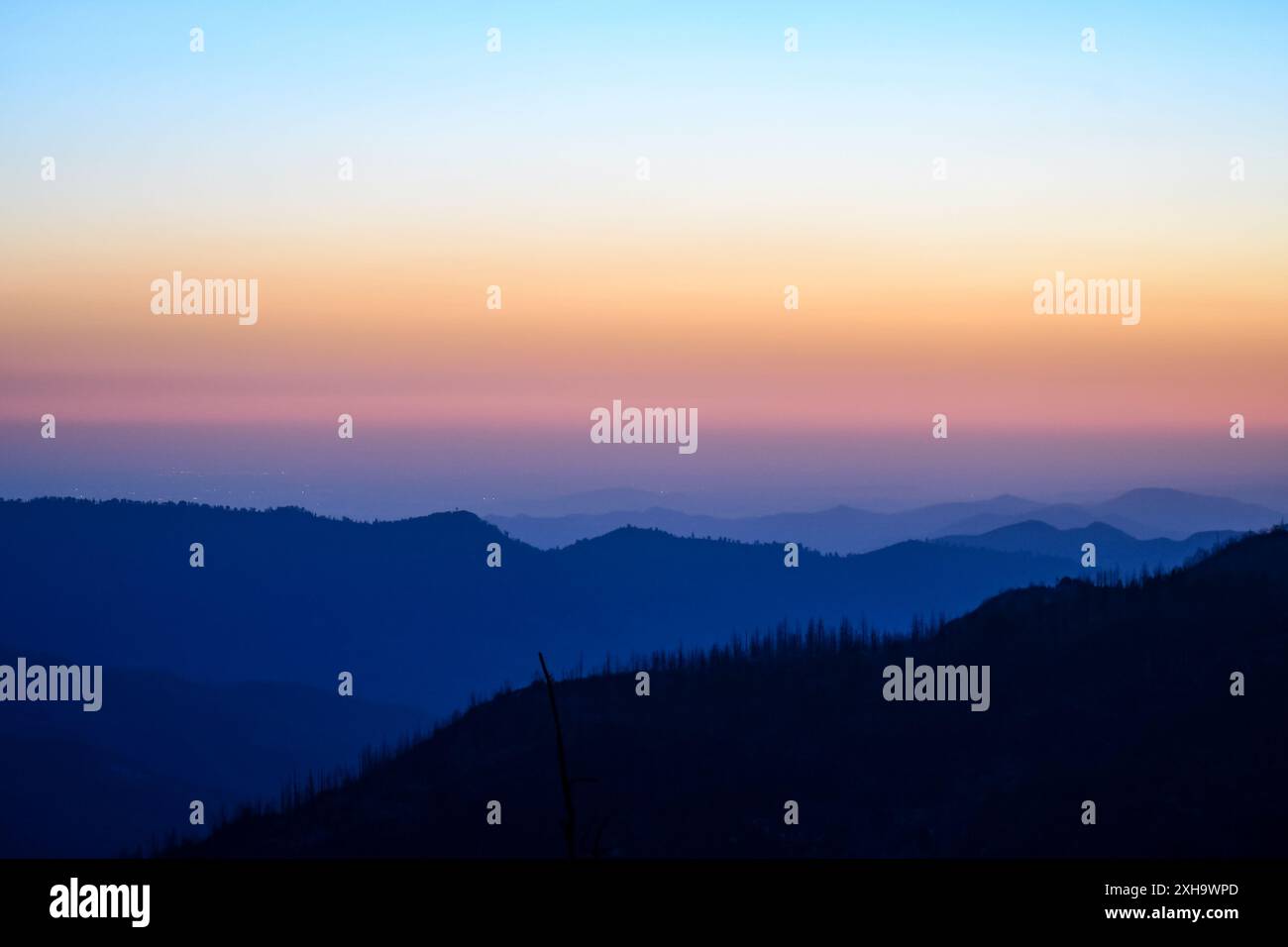 Coucher de soleil d'été sur la forêt nationale de Sierra Banque D'Images
