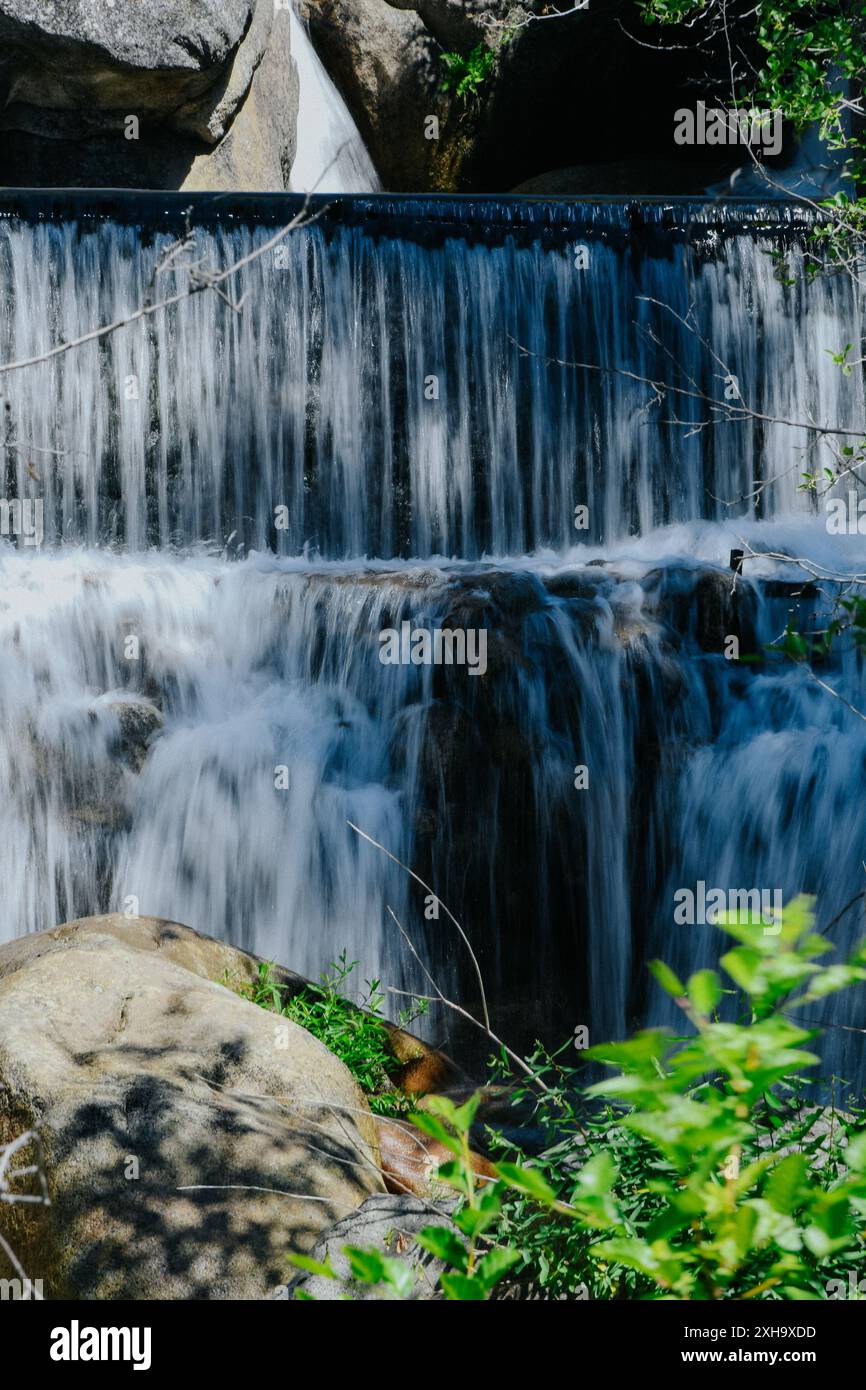 Chute d'eau de la forêt nationale de Sierra Banque D'Images