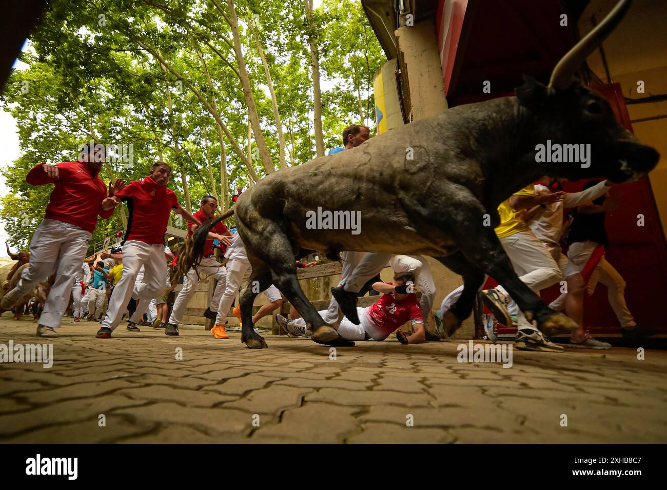 Revelers run with bulls from José Escolar ranch on the seventh day of the running of the bulls at the San Fermín fiestas in Pamplona, Spain, Saturday, July 13, 2024. People test their speed and bravery by dashing with six fighting bulls through the streets of the northern Spanish city of Pamplona. (AP Photo/Alvaro Barrientos) Banque D'Images