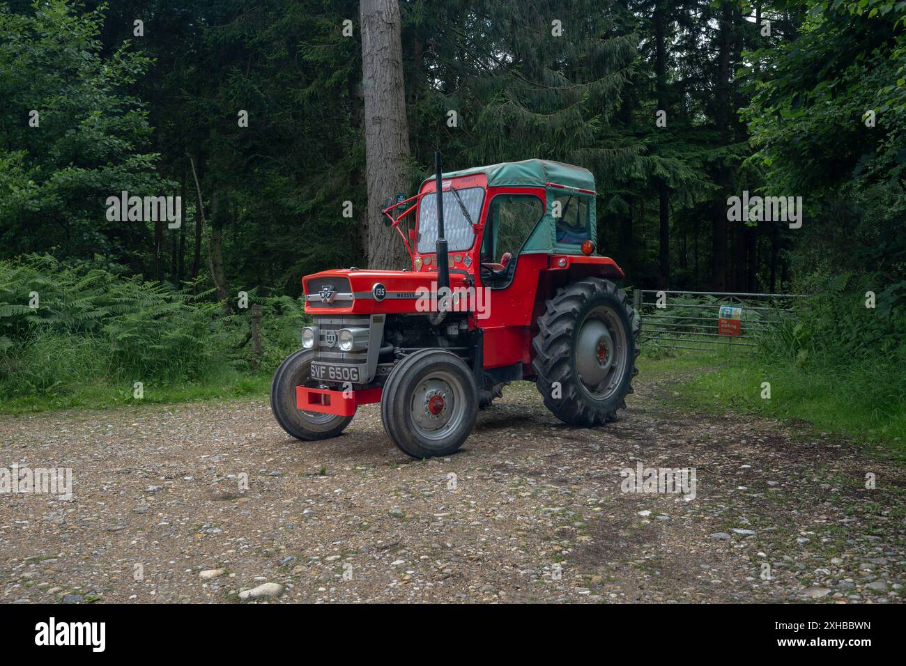 Tracteur Massey Ferguson 135 garé dans la campagne du Norfolk, au Royaume-Uni Banque D'Images