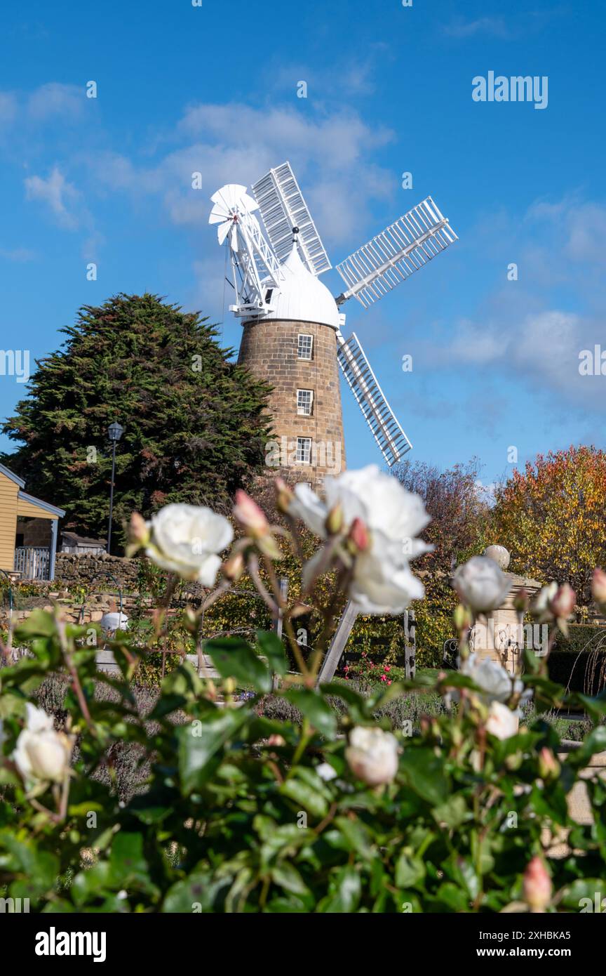 Le moulin de Callington a été construit en 1837 à Oatlands, Tasmanie, Australie. Le moulin de 15 mètres de haut a été construit par l'anglais John Vincent basé sur sa conception Banque D'Images