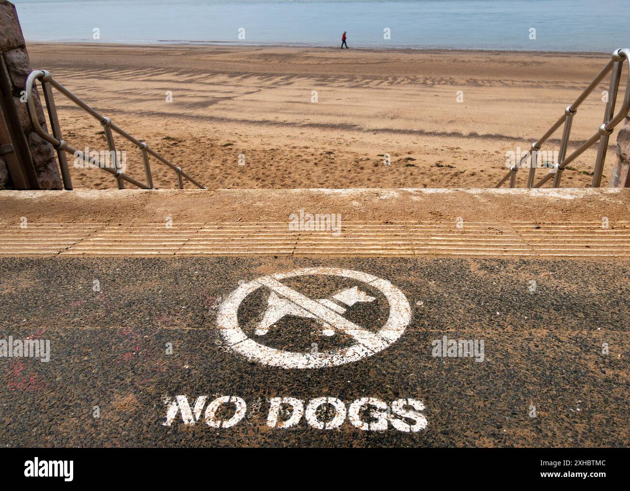 Aucun chien signe sur la plage de Budleigh Salterton, une ville balnéaire de l'est du Devon, en Angleterre Banque D'Images