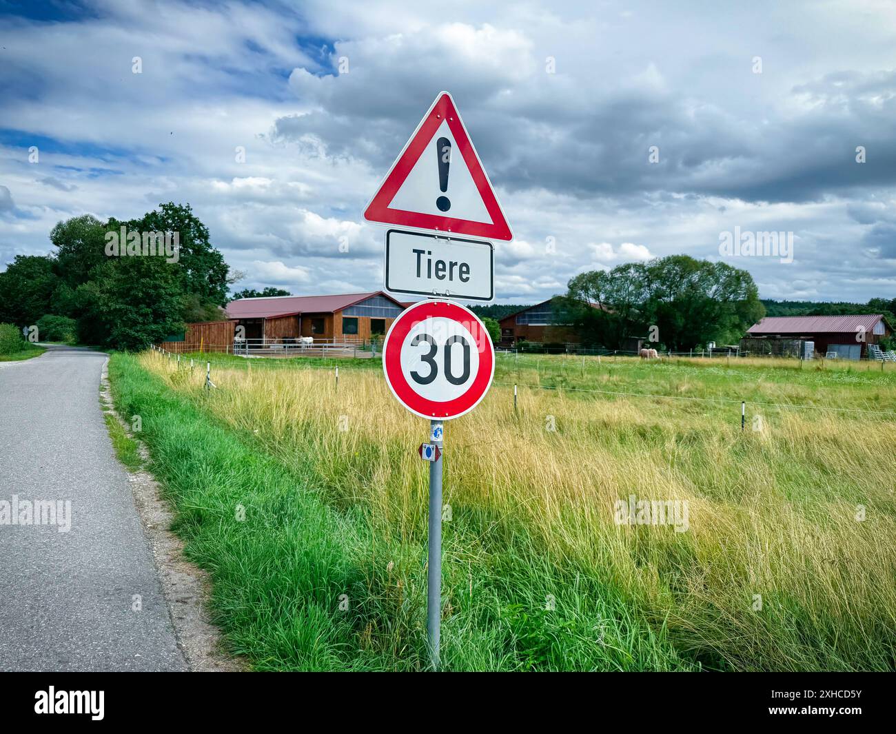 Verkehrsschild, Landschaft, Landstraße, Weiden, Bauernhof, Himmel, Wolken, Gebäude, Natur, Grünfläche, Tierwarnung, Geschwindigkeit, Warnschild, Tiere, Tempolimit, 30 km/h, ländliche Umgebung, Landwirtschaft, Verkehrssicherheit, Verkehrszeichen, Deutschland, Landweg, Tierübergang, Straßensicherheit, Symbolfoto *** panneau de signalisation, paysage, route de campagne, pâturages, ferme, ciel, nuages, bâtiment, nature, espace vert, avertissement animal, vitesse, panneau d'avertissement, animaux, limite de vitesse, 30 km h, environnement rural, agriculture, sécurité routière, signalisation routière, Allemagne, route de campagne, traversée d'animaux, sécurité routière, symbole Banque D'Images