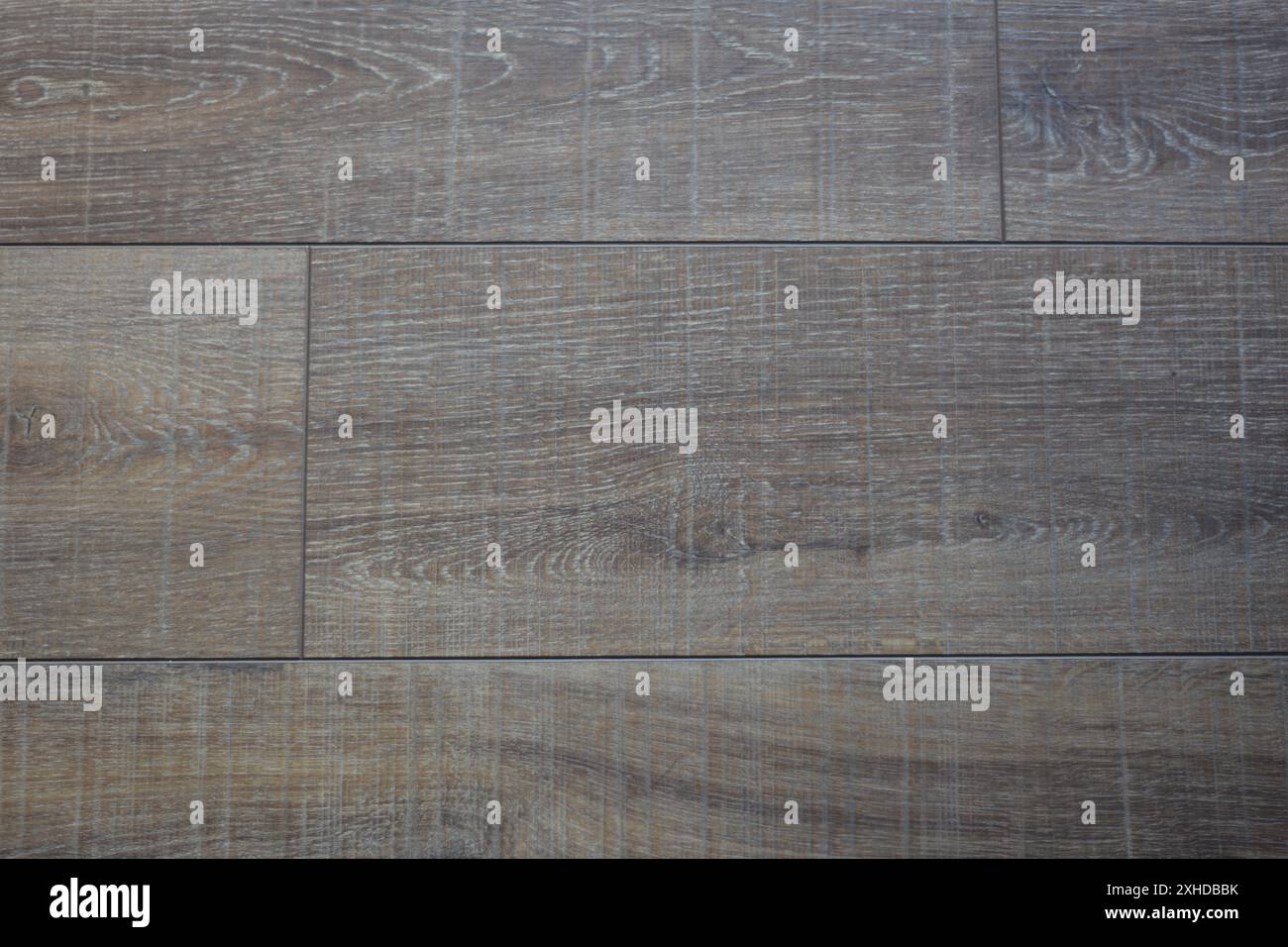 Gros plan de plancher de bois franc stratifié montrant le grain de bois. Banque D'Images