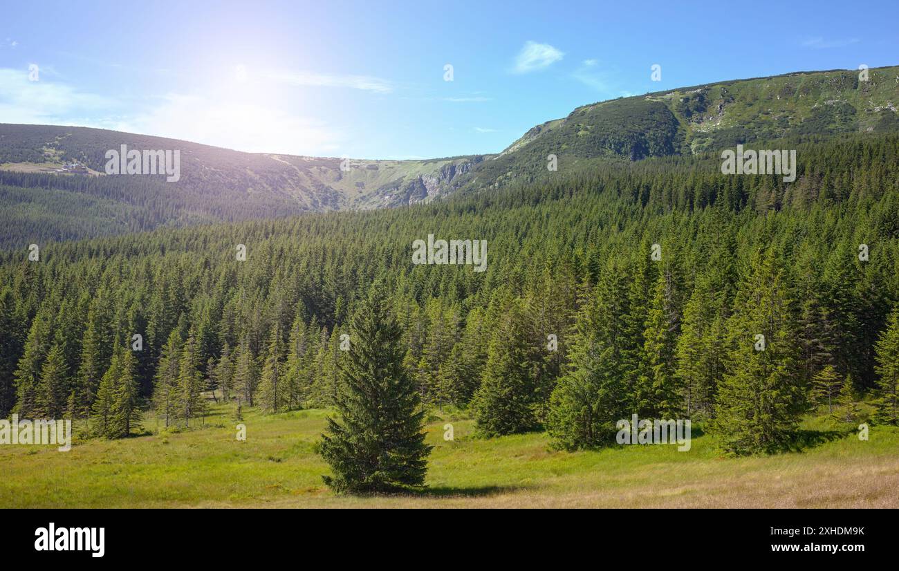 Paysage des Karkonosze (montagnes des géants), une chaîne de montagnes située à la frontière de la Pologne et de la République tchèque, Pologne. Banque D'Images