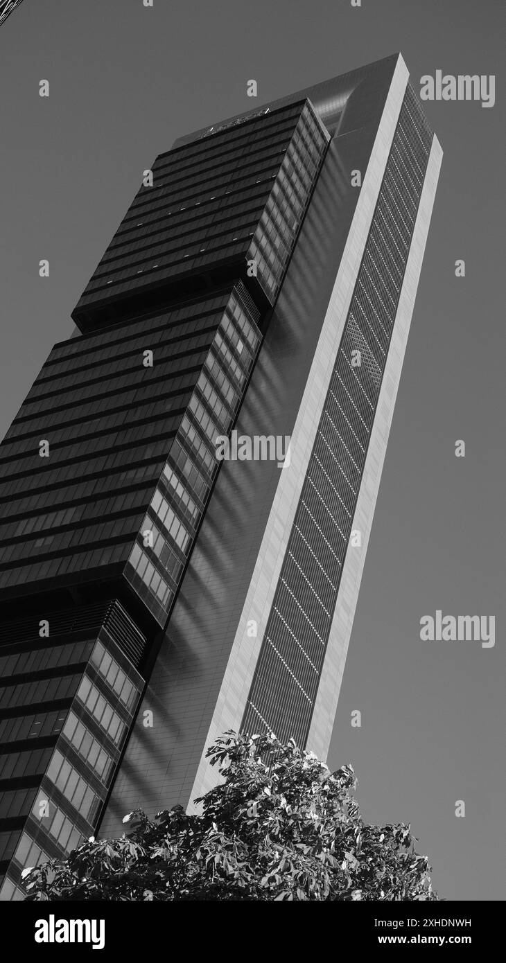 Vue de la Torre Cepsa sur le Paseo de la Castellana à Madrid, dans le complexe financier des 4 tours. 13 juillet 2024 en Espagne Banque D'Images