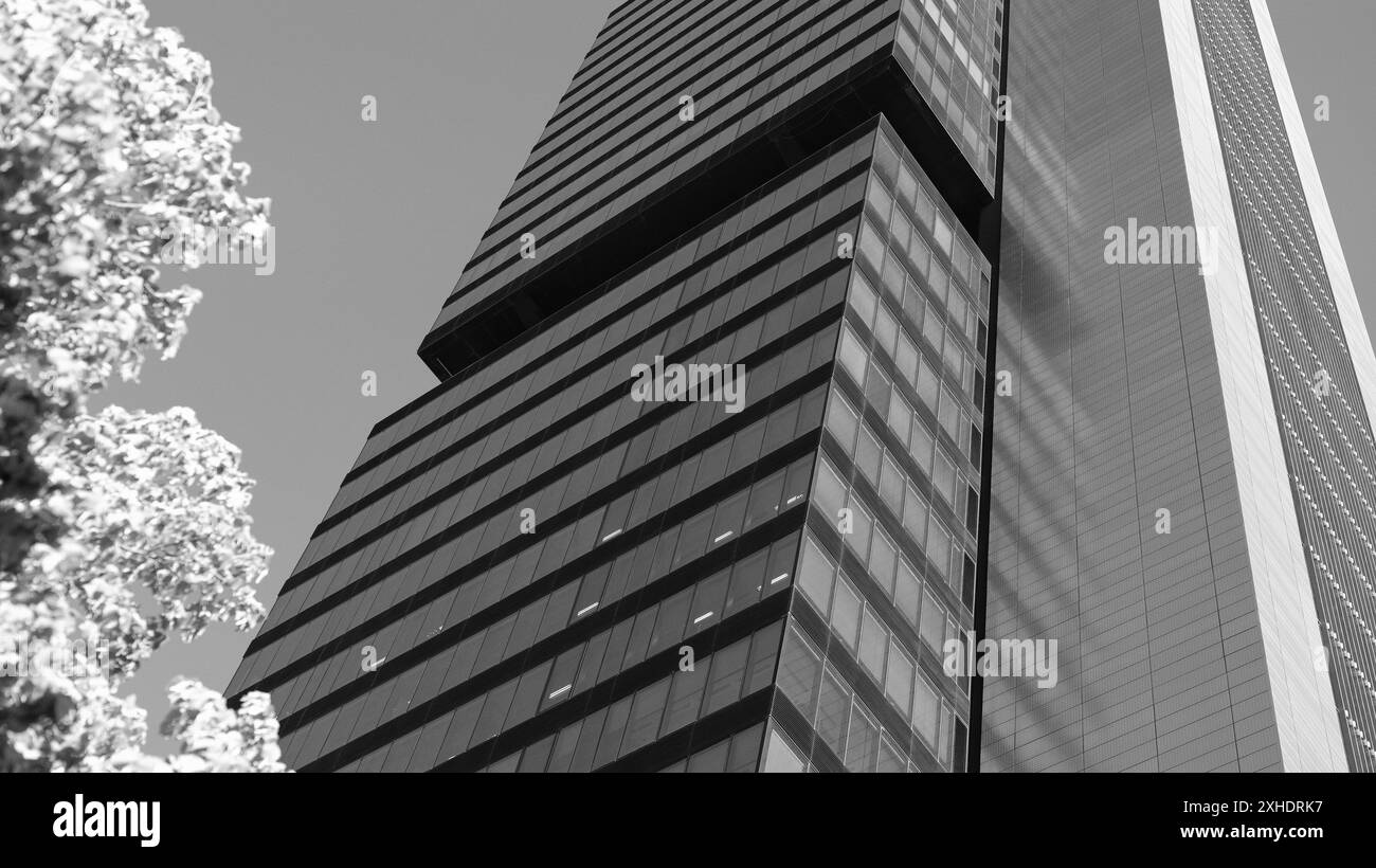 Madrid, Espagne. 13 juillet 2024. Vue de la Torre Cepsa sur le Paseo de la Castellana à Madrid, dans le complexe financier des 4 tours. 13 juillet 2024 en Espagne (photo par Oscar Gonzalez/Sipa USA) crédit : Sipa USA/Alamy Live News Banque D'Images