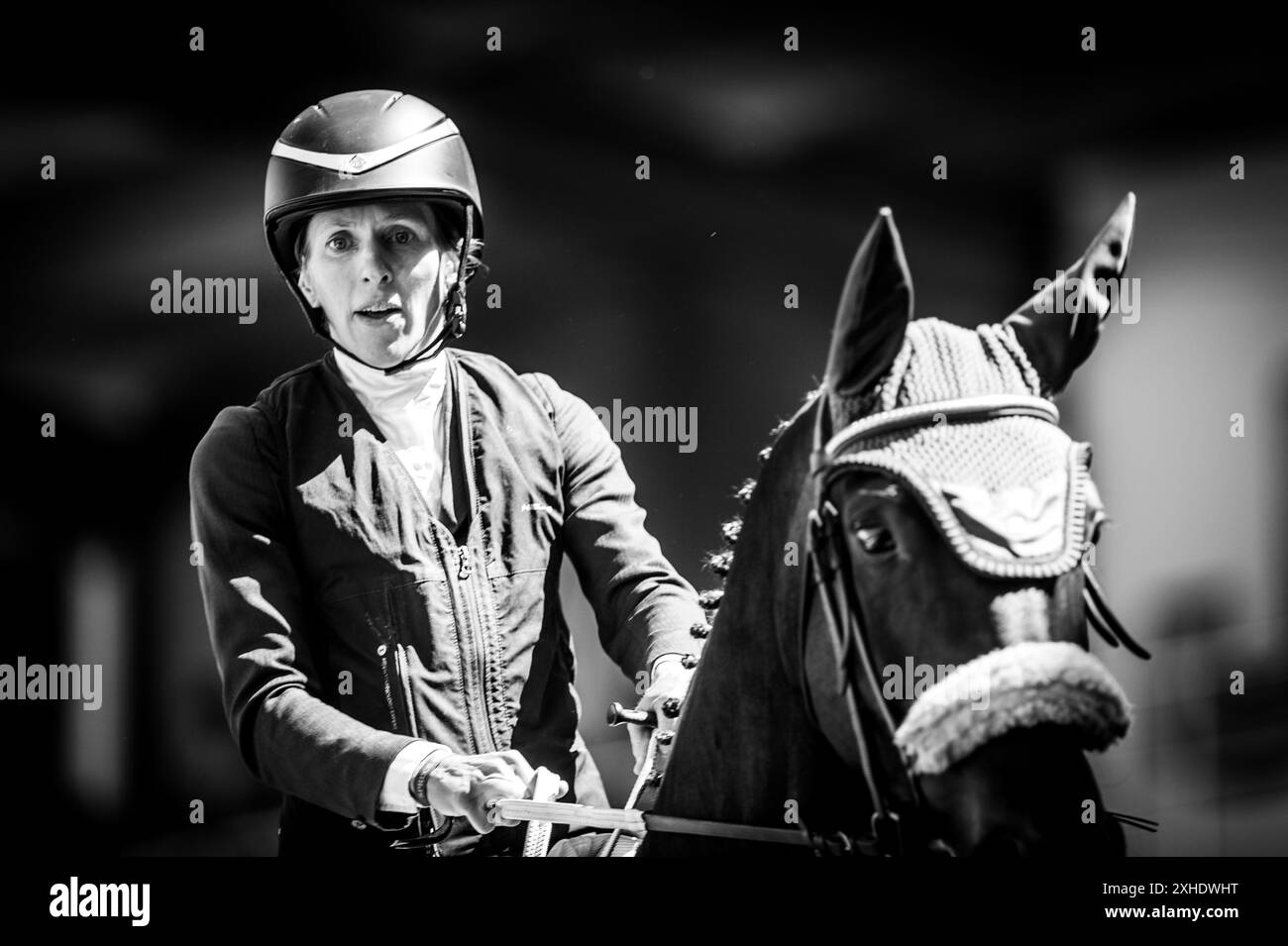 Les meilleurs athlètes du monde entier se rencontrent au Spruce Meadows de Calgary Banque D'Images