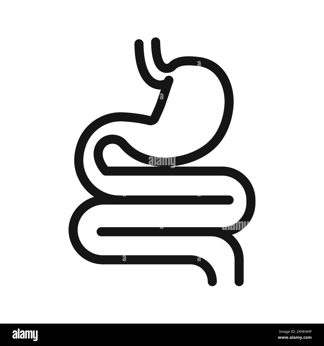 Icône du système digestif symbole vectoriel ou collection d'ensemble de signes dans un contour noir et blanc Illustration de Vecteur