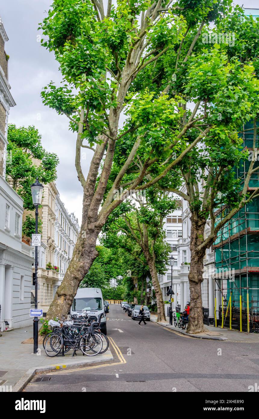 Une vue sur Linden Gardens dans la ville de Westminster, Londres, Royaume-Uni, une route bordée d'arbres au cœur de la ville Banque D'Images