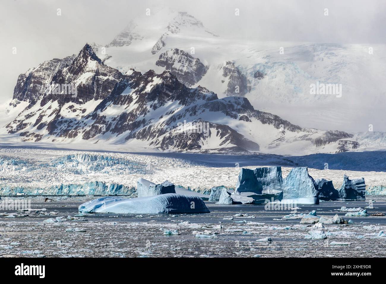 Icebergs, Cumberland East Bay, île de Géorgie du Sud, mardi 28 novembre, 2023. photo : David Rowland / One-Image.com Banque D'Images