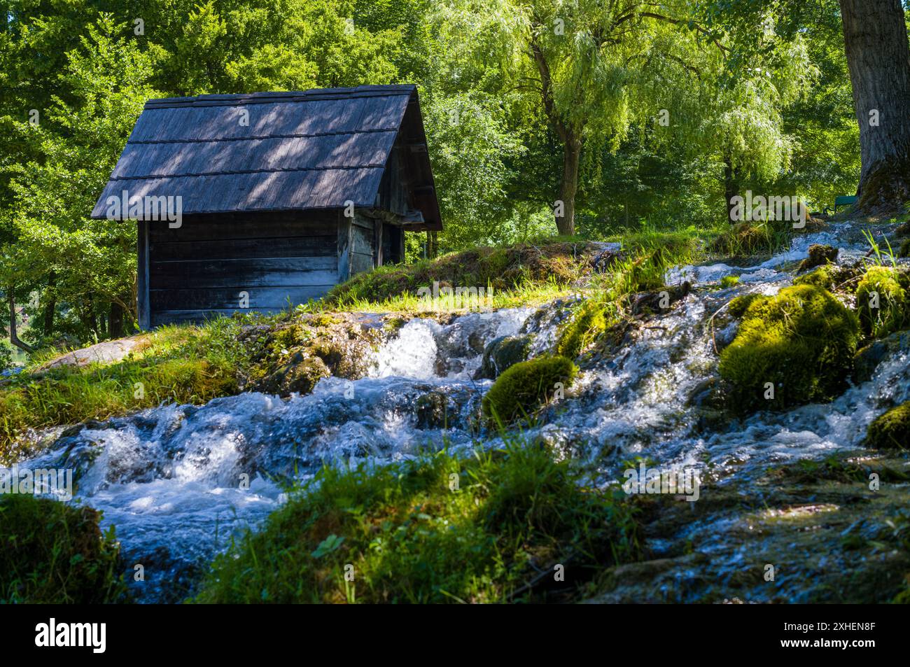 L'eau cristalline coule sur une colline avec une forêt et une petite cabane en arrière-plan. Banque D'Images