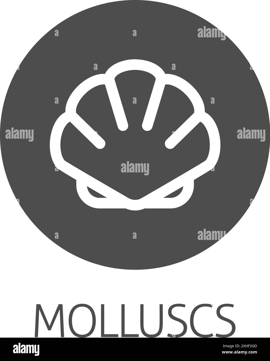 Coquillage coquillage mollusque mollusque de fruits de mer icône de nourriture Illustration de Vecteur