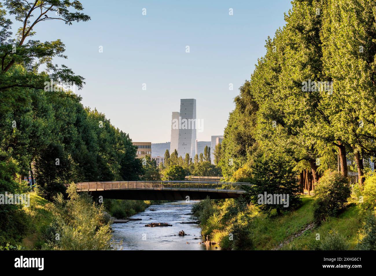 Suisse, Bâle, port du Rhin, Gärtnerstrasse, prairie, pont, triangle frontalier, Baselstadt, ville de Bâle Banque D'Images