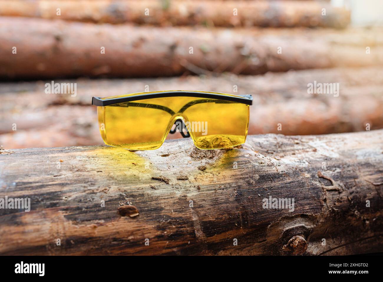 Verres de construction à la production de la scierie. Industrie du travail du bois Banque D'Images