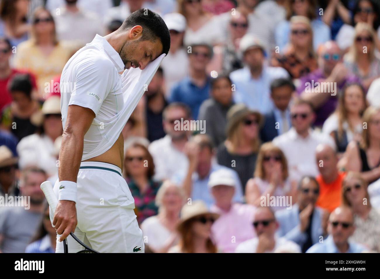 Novak Djokovic of Serbia wipes the sweat from his face during his match against Carlos Alcaraz of Spain during the men's singles final at the Wimbledon tennis championships in London, Sunday, July 14, 2024. (AP Photo/Kirsty Wigglesworth) Banque D'Images