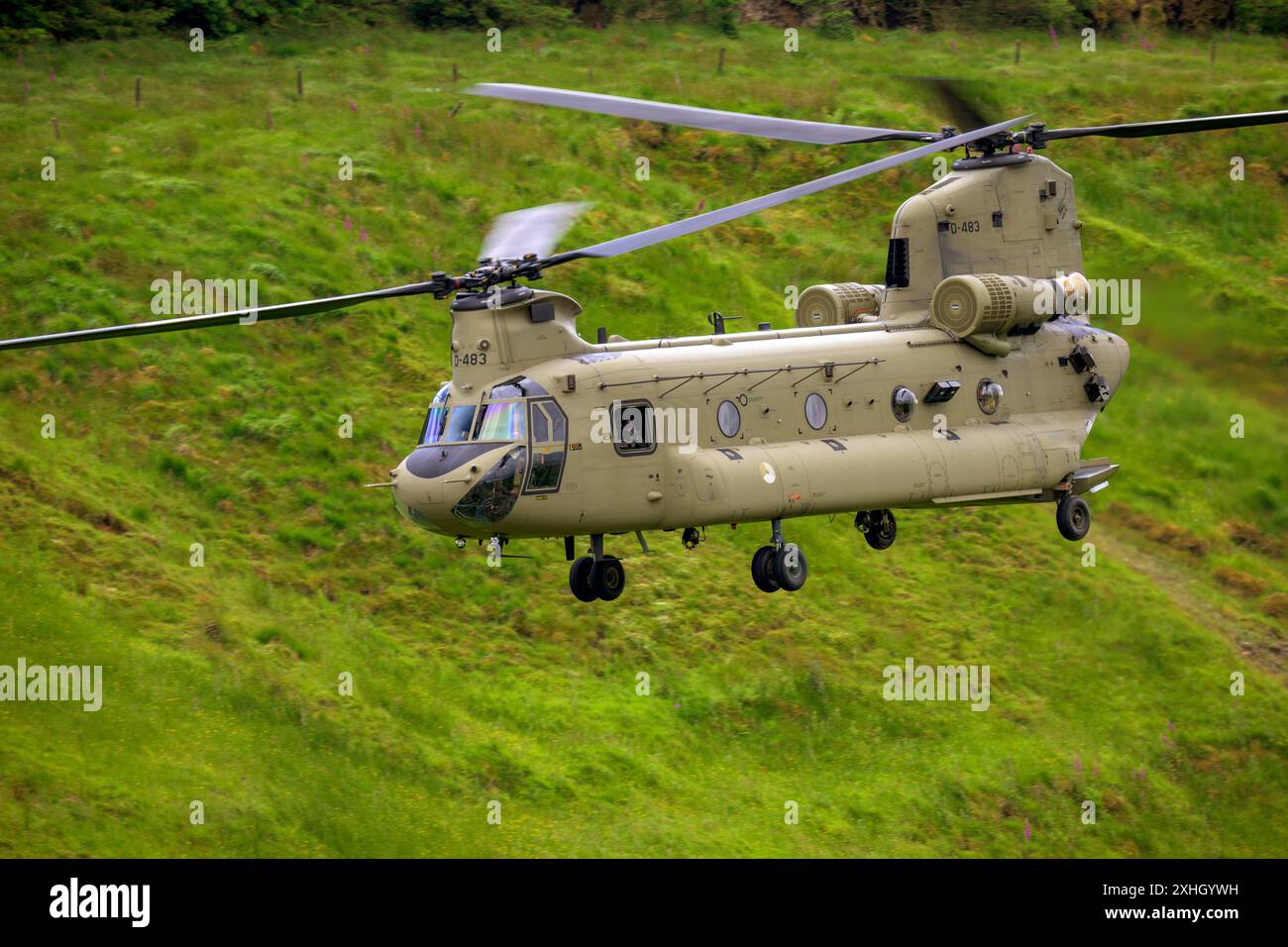 Hélicoptères de la Royal Netherlands Air Force en action, lors de l'opération Tac Blaze 2024 à la RAF Spadeadam Banque D'Images