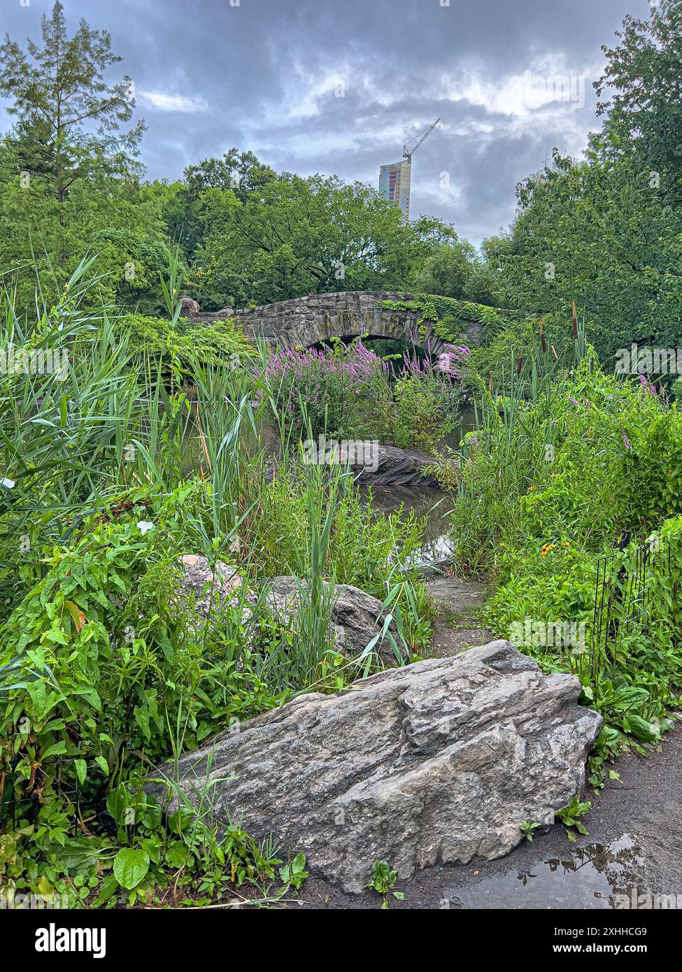 Pont de Gapstow dans Central Park , tôt le matin en été Banque D'Images