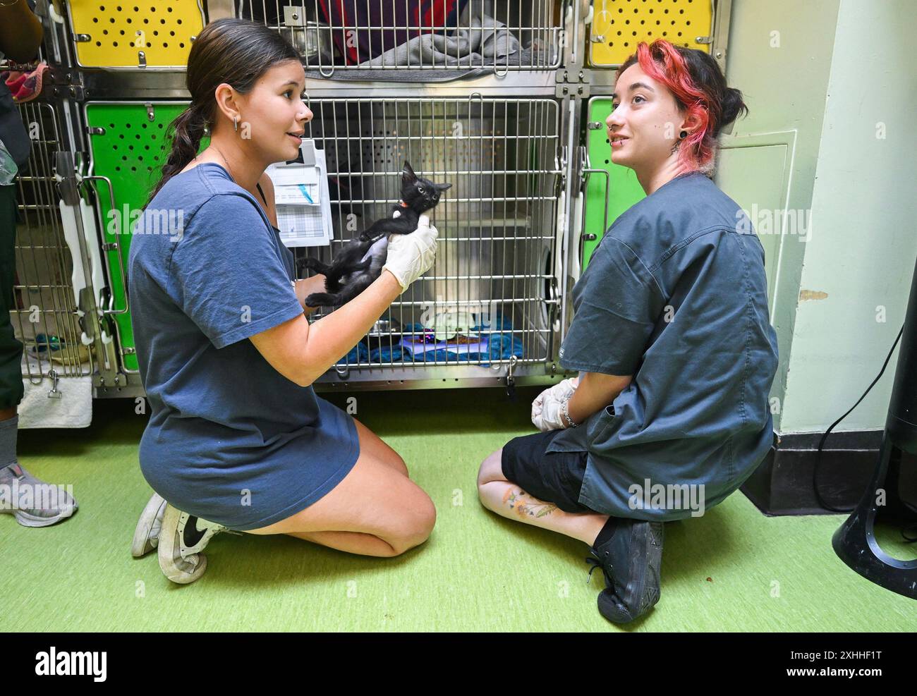 Montréal, Canada. 14 juillet 2024. Gabrielle Bilodeau, à gauche, tient un chaton alors qu’elle parle à Emery Chevrier-Dewilde, employée de la SPCA, lors d’un événement d’adoption sans frais de la SPCA à Montréal, le dimanche 14 juillet 2024. Crédit : la presse canadienne/Alamy Live News Banque D'Images