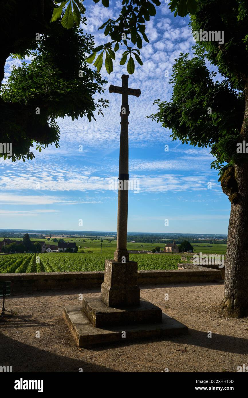 Vue panoramique sur le vignoble avec Croix de pierre à Meursault, Bourgogne, France Banque D'Images