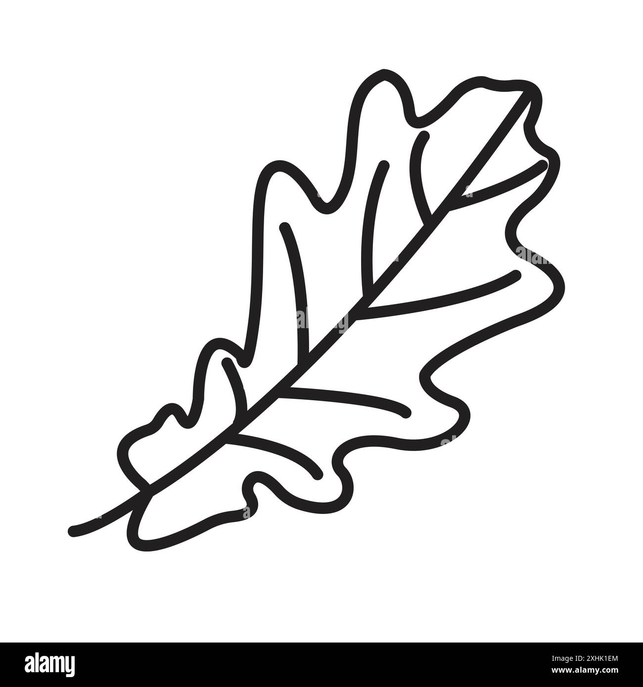 Feuille de chêne avec l'icône veines vecteur d'art de ligne noire en noir et blanc contour set signe de collection Illustration de Vecteur