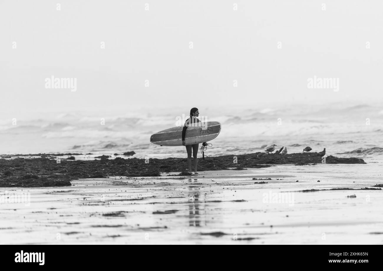 Surf Banque D'Images