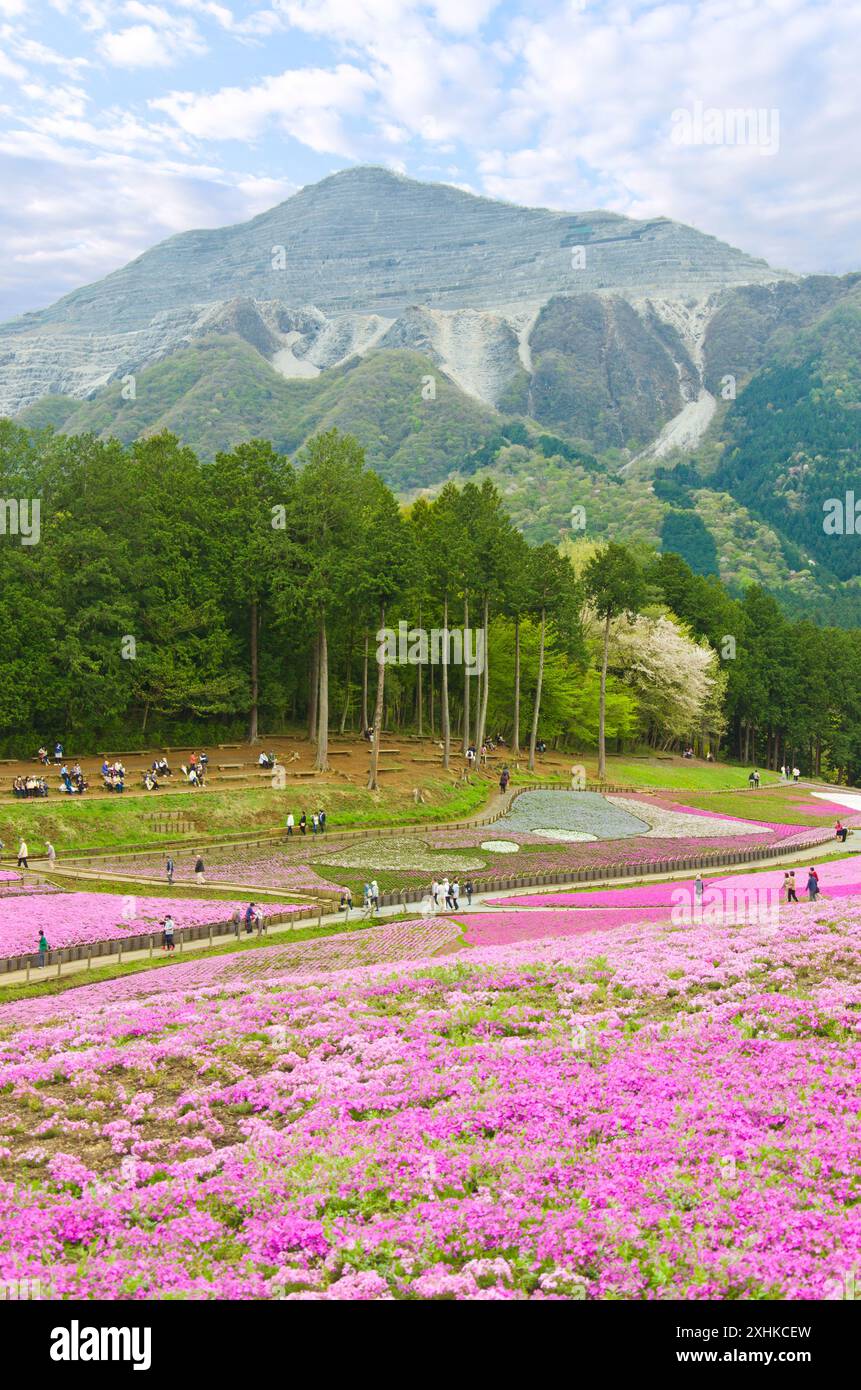 Parc Hitsujiyama à Chichibu, préfecture de Saitama, Japon. Banque D'Images