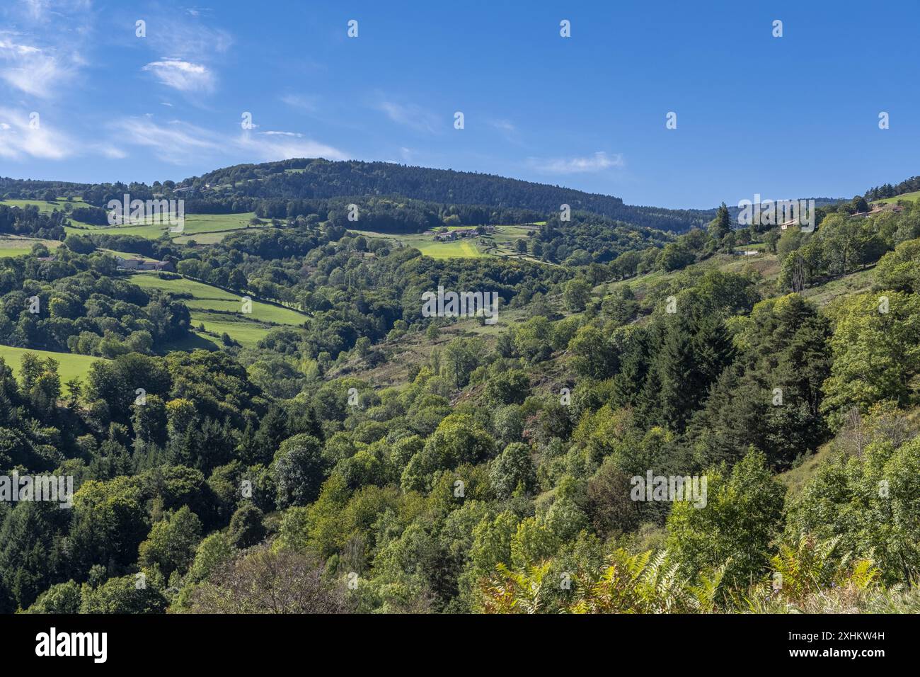 France, Loire, paysage des Monts du Forez près de Sauvain Banque D'Images