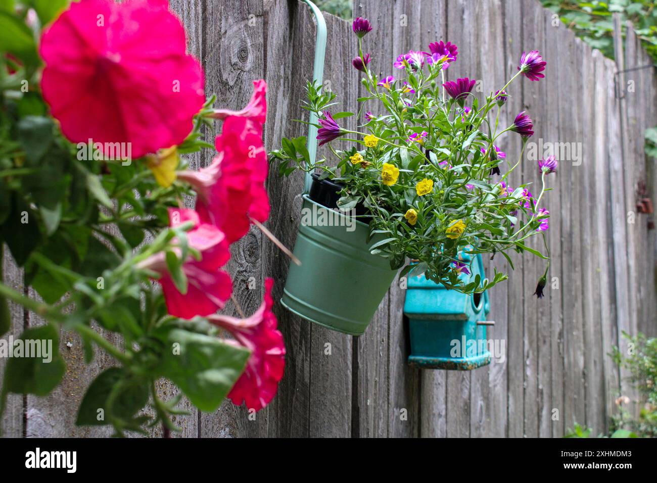Fleurs colorées dans des pots suspendus à une clôture en bois Banque D'Images