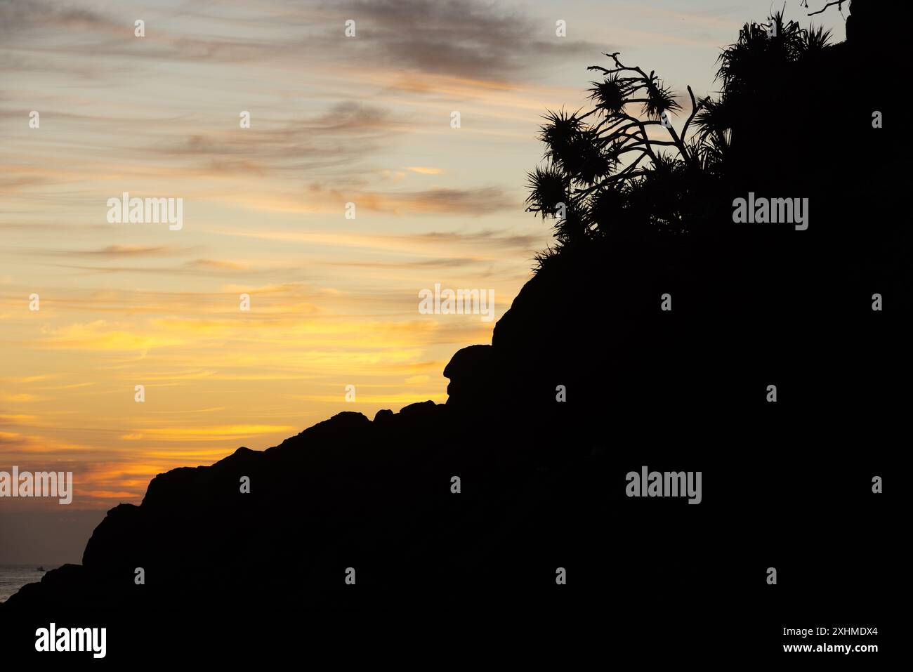 Silhouette paysage côtier avec des plantes tropicales au coucher du soleil Gold Coast Banque D'Images