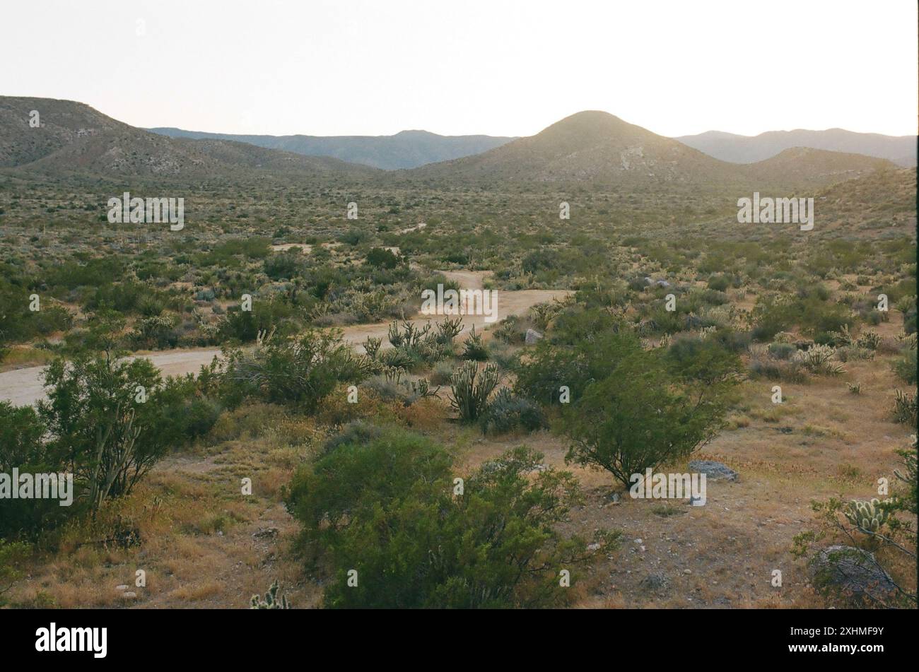 Vaste paysage désertique avec des collines et un chemin de terre sinueux. Banque D'Images