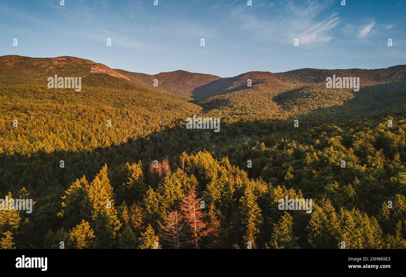 Montagnes couvertes d'arbres à Evans Notch sur la frontière du Maine New Hampshire Banque D'Images