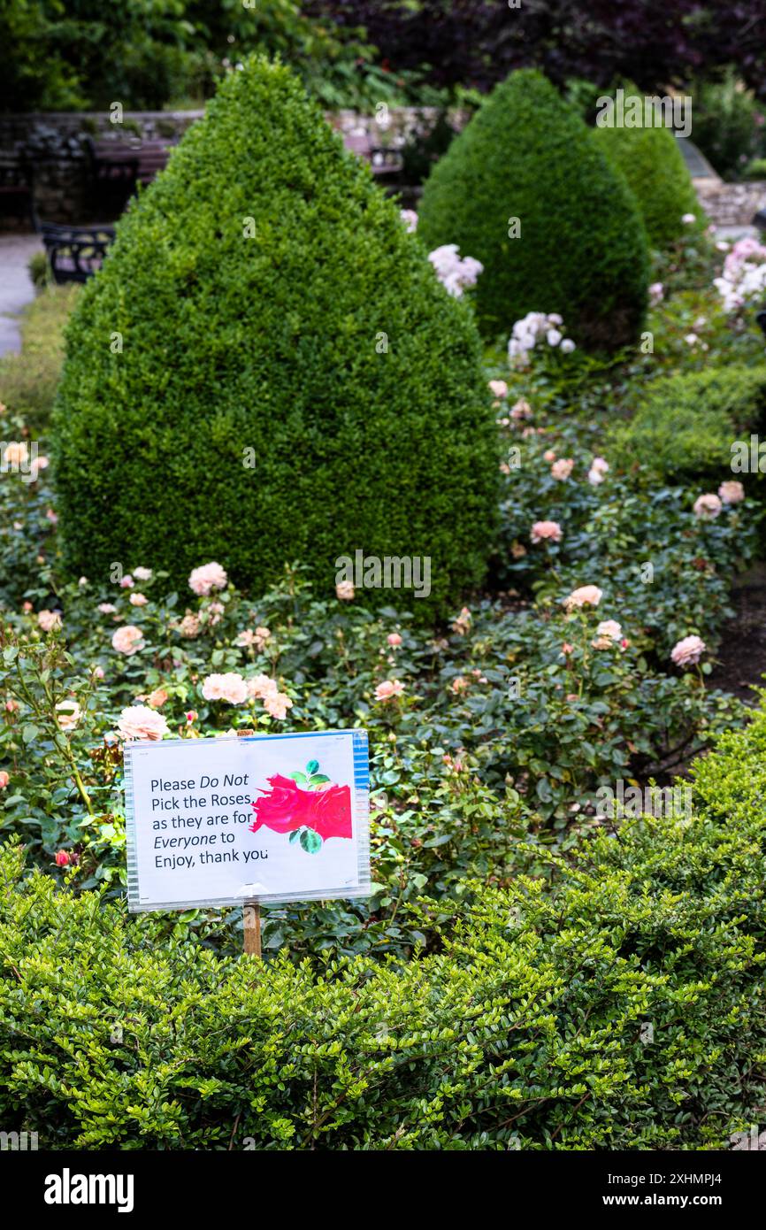 Une pancarte demandant que les roses ne soient pas cueillies à Trenance Rose Garden à Newquay en Cornouailles au Royaume-Uni. Banque D'Images