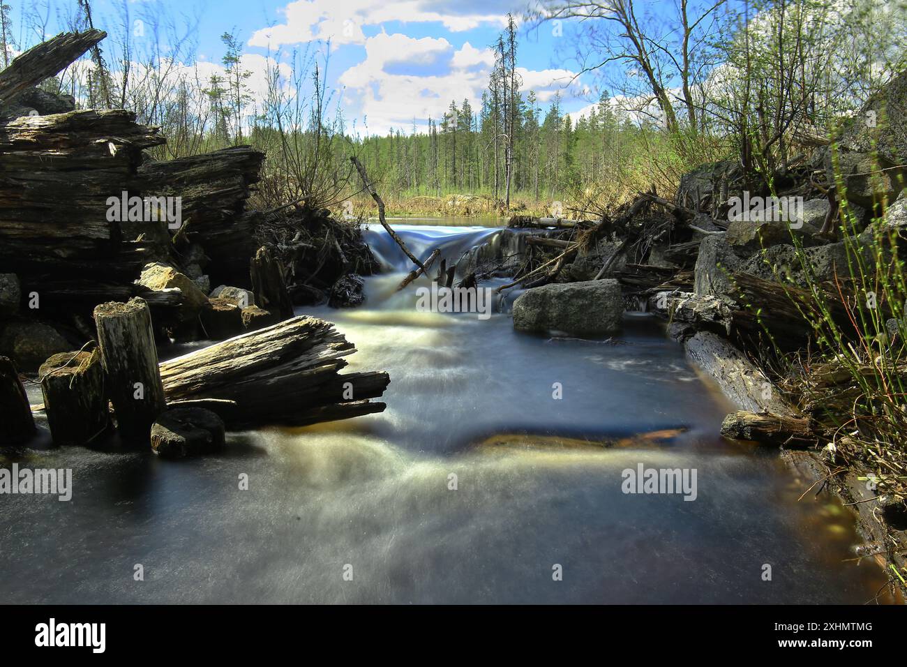 Rivière qui coule à travers - Un ruisseau coule sur des rochers et des rondins dans le parc national de Bjornlandets, en Suède. Banque D'Images